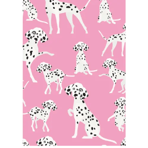 Koira Dalmatian - Kortti - Lempi Lifestyle