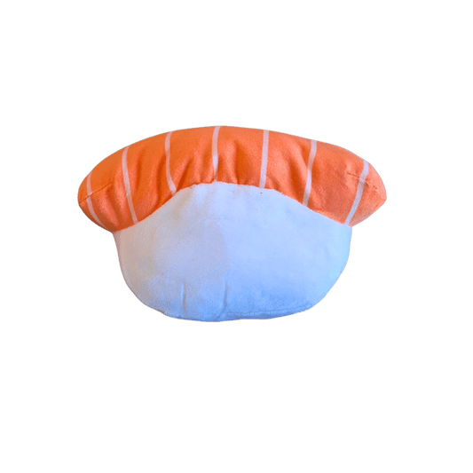 Koiralelu, sushi nigiri - Lempi Lifestyle