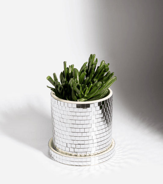 Kukkaruukku - disco hopea - Lempi Lifestyle