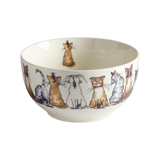 Cat bowl