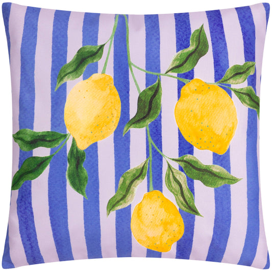 Ulkotyyny lemons 43 x 43cm
