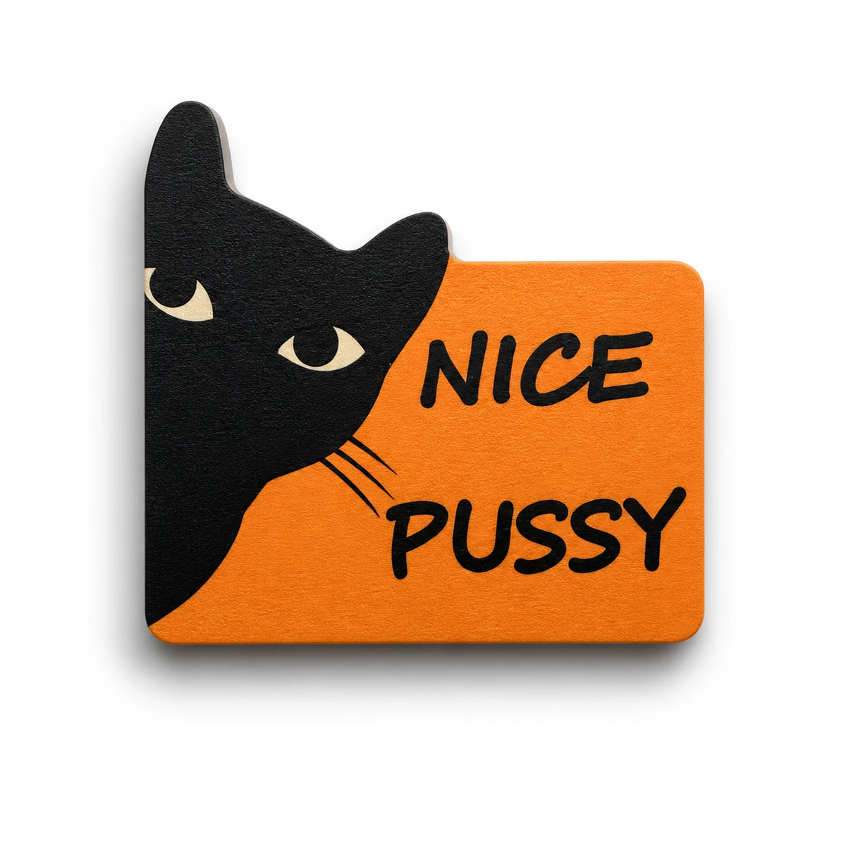 Magneetti kissa – Nice pussy