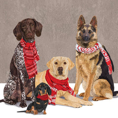Servetti - Lautasliina Schal Hunde Serviette 25x25