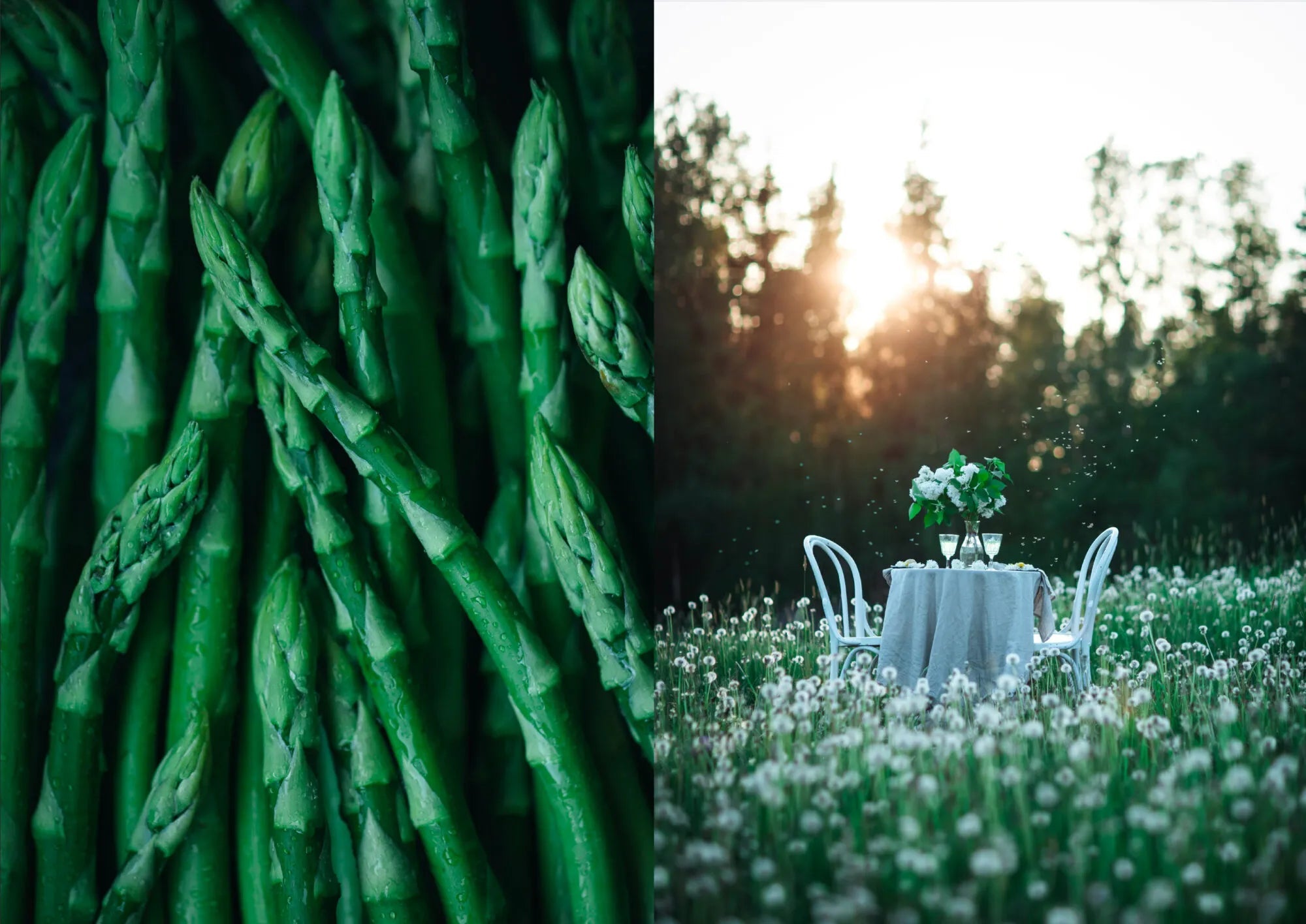 Fun Dining – Elämyksiä lautasella - Lempi Lifestyle