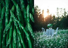 Fun Dining – Elämyksiä lautasella - Lempi Lifestyle