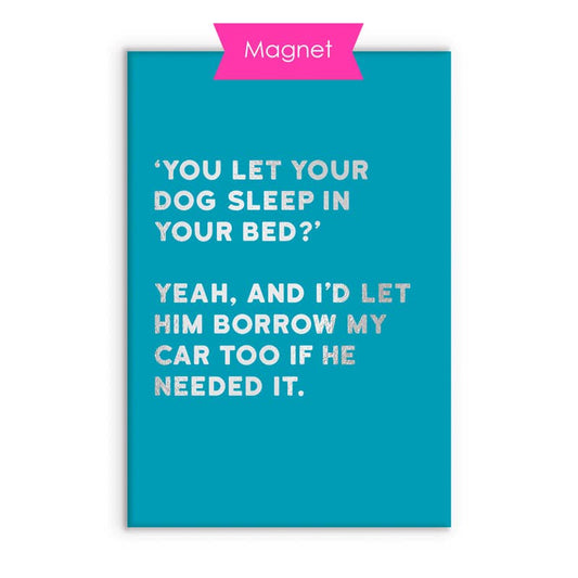 Hauska koiraaiheinen magneetti I borrow car to dog - Lempi Lifestyle