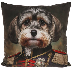 Koiratyyny Lhasa Apso - Lempi Lifestyle