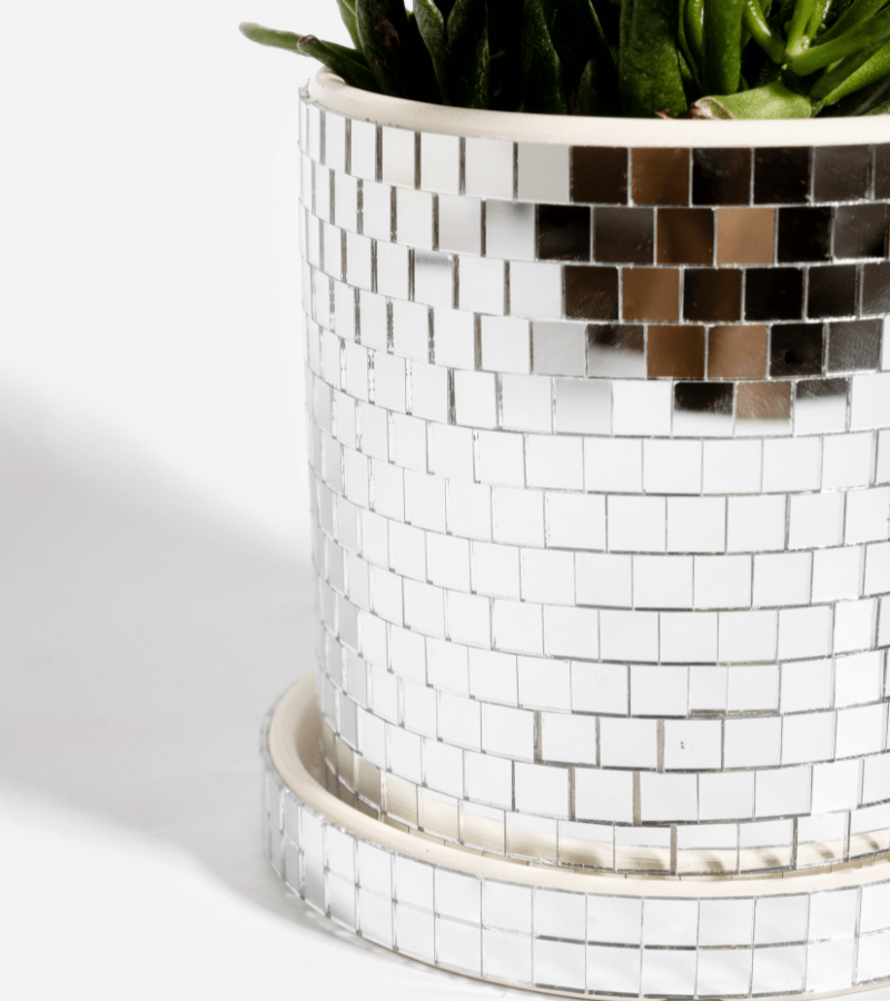 Kukkaruukku - disco hopea - Lempi Lifestyle