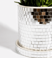 Kukkaruukku - disco hopea - Lempi Lifestyle