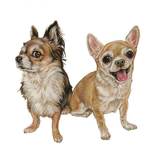 Magneetti - Chihuahua - Lempi Lifestyle