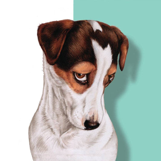 Magneetti - Jack Russell Terrieri - Lempi Lifestyle