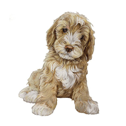 Magneetti Labradoodle koira - Lempi Lifestyle