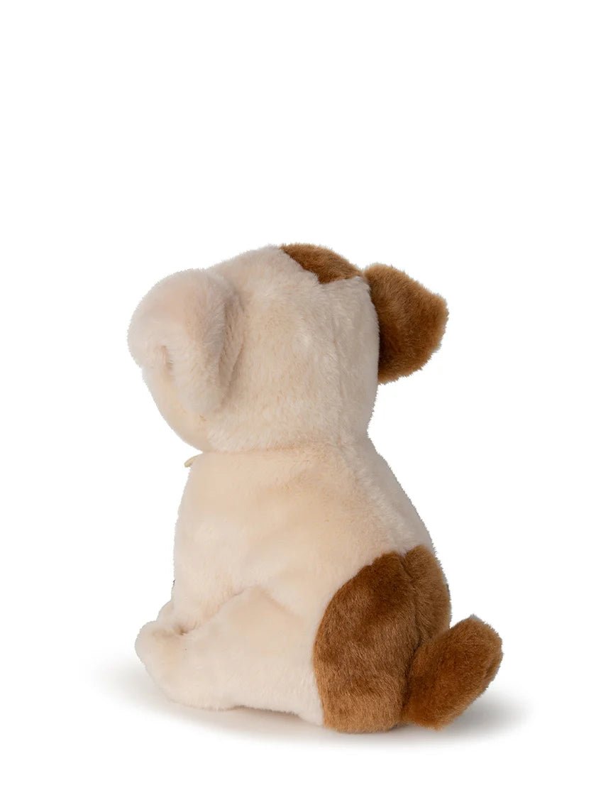 Pehmolelu Bulldog - Ihana koira lahjalaatikossa - Lempi Lifestyle