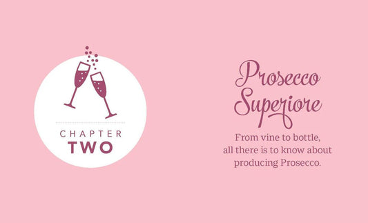Pieni kirja Prosecco - The little book of Prosecco - kirja - Lempi Lifestyle