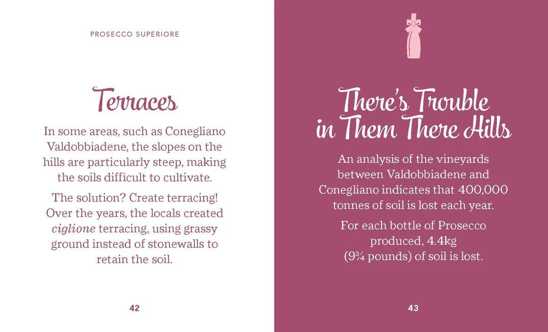 Pieni kirja Prosecco - The little book of Prosecco - kirja - Lempi Lifestyle