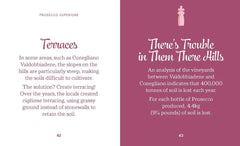 Pieni kirja Prosecco - The little book of Prosecco - kirja - Lempi Lifestyle
