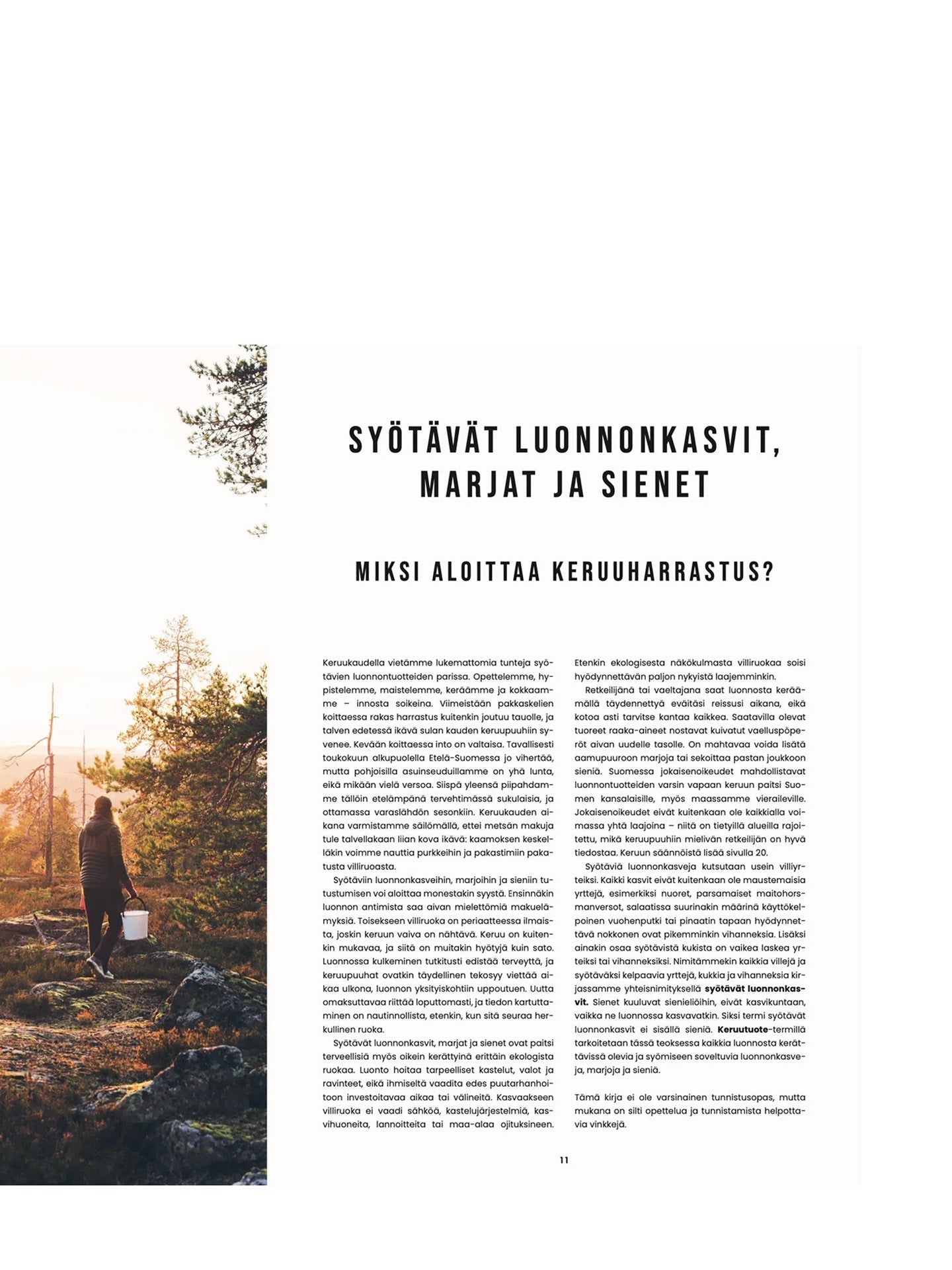 Retkiruokaa luonnosta – Makua marjoista, sienistä ja villiyrteistä - Lempi Lifestyle