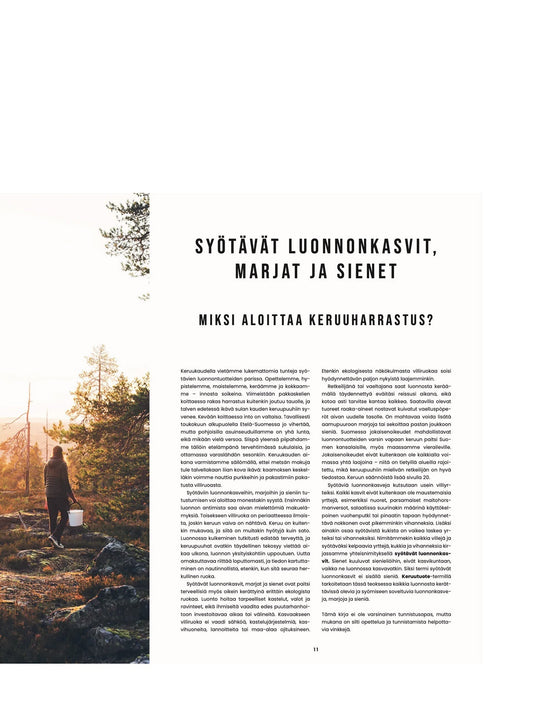 Retkiruokaa luonnosta – Makua marjoista, sienistä ja villiyrteistä - Lempi Lifestyle
