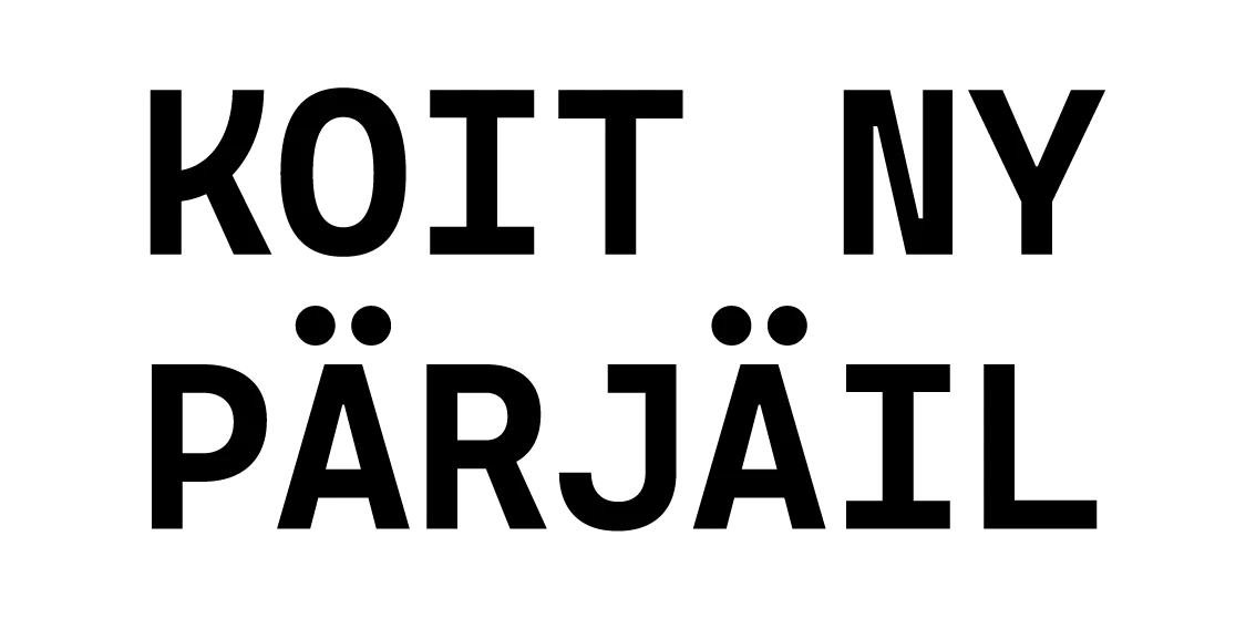 Vinyylitarra I Koit ny pärjäil - Lempi Lifestyle