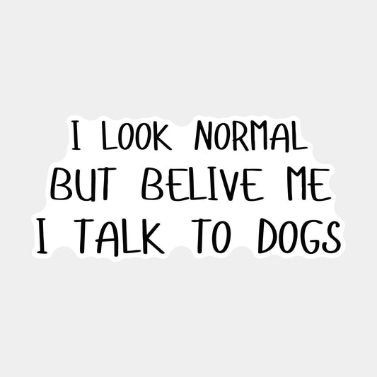 Vinyylitarra - I look normal - Lempi Lifestyle