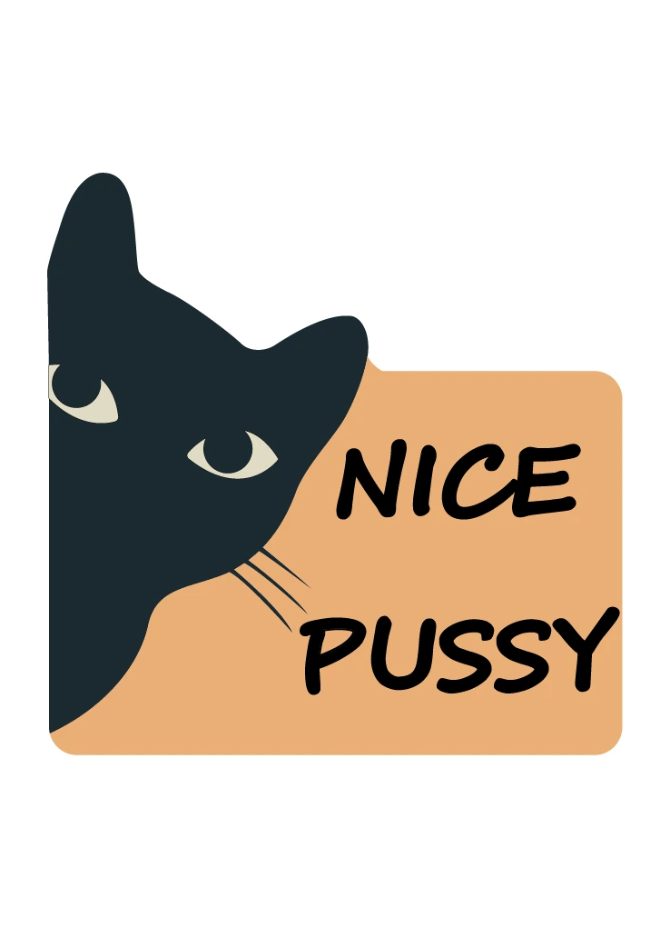 Vinyylitarra I Nice pussy - Lempi Lifestyle