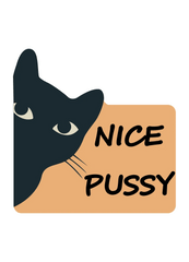 Vinyylitarra I Nice pussy - Lempi Lifestyle