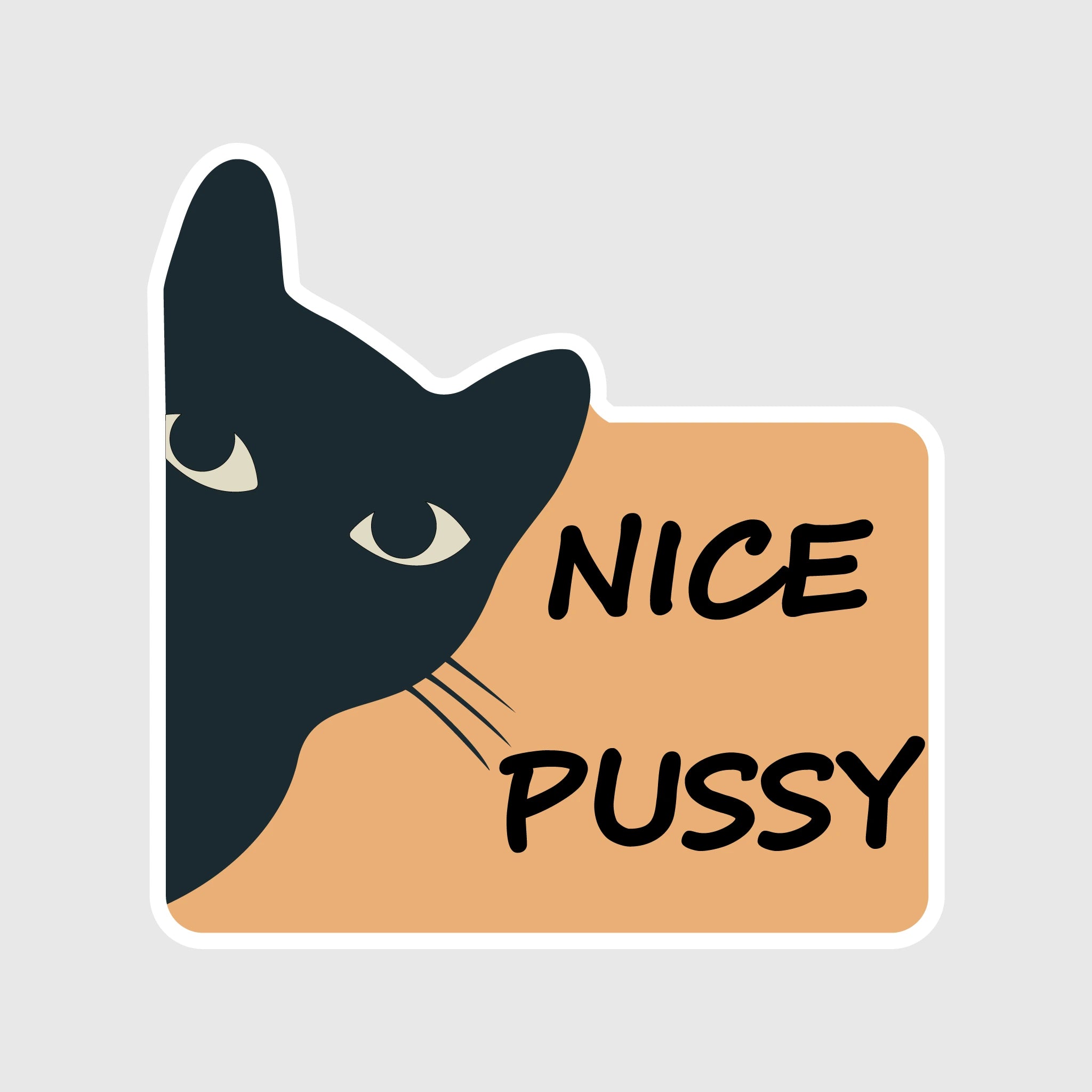 Vinyylitarra I Nice pussy - Lempi Lifestyle