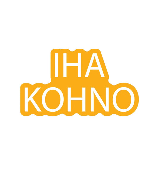 Vinyylitarra - Iha kohno - Lempi Lifestyle