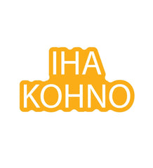 Vinyylitarra - Iha kohno - Lempi Lifestyle