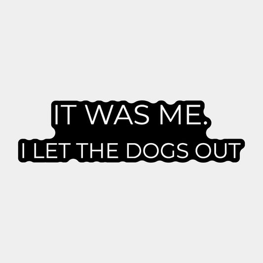 Vinyylitarra - It was me - Lempi Lifestyle