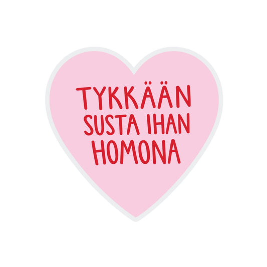 Vinyylitarra - Tykkään susta ihan homona - Lempi Lifestyle