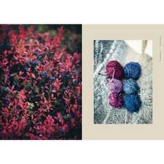 Arctic Knitting – Luonnon ja värien taika - Kirjat,